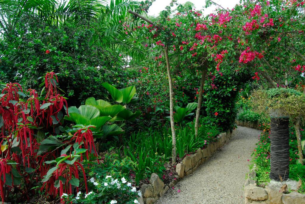 Hosteria Mandala Puerto López Zewnętrze zdjęcie