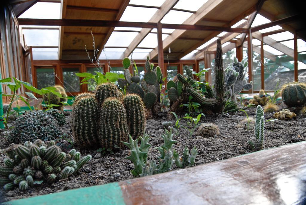 Hosteria Mandala Puerto López Zewnętrze zdjęcie