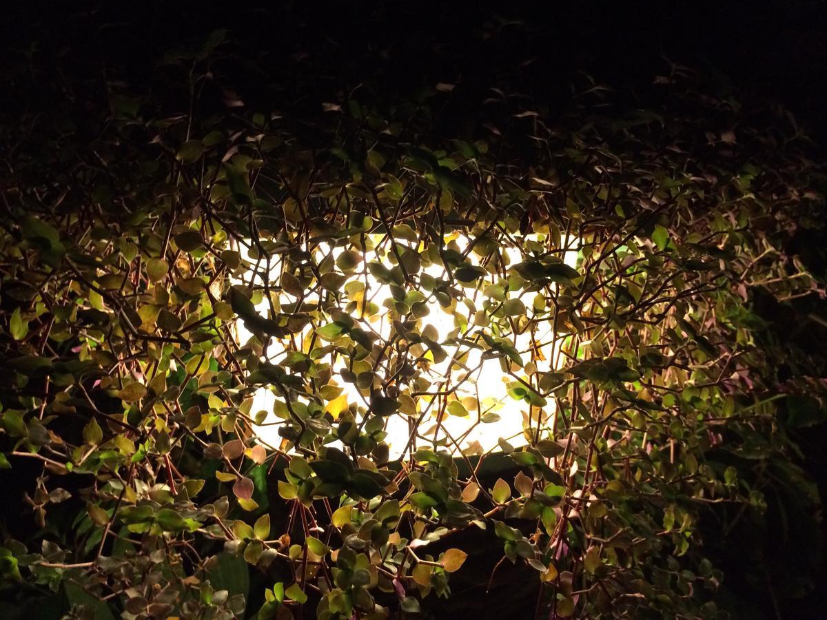 Hosteria Mandala Puerto López Zewnętrze zdjęcie